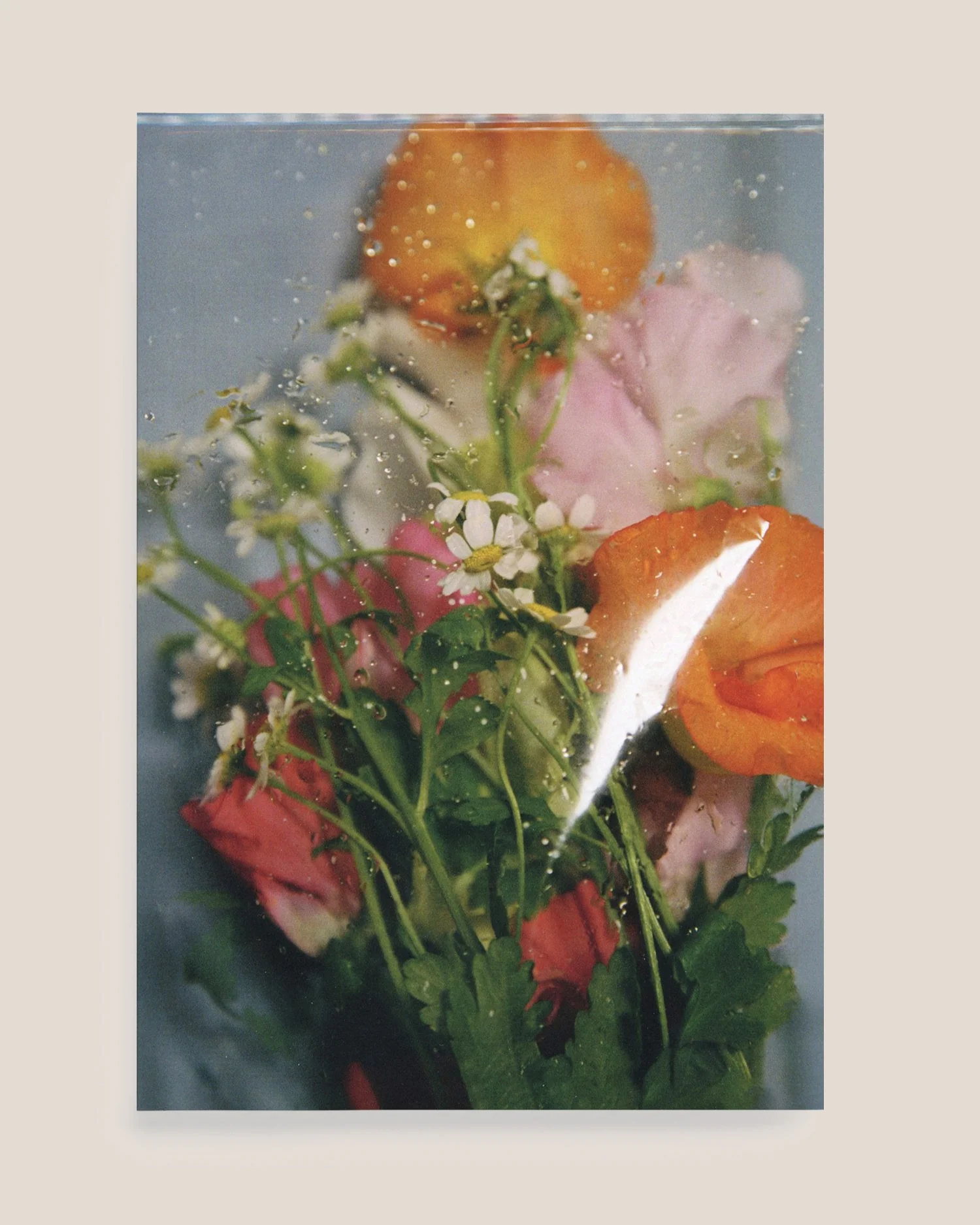 CHERRY BLOSSOM, DON'T CRY - Alba Yruela Book - Image 2