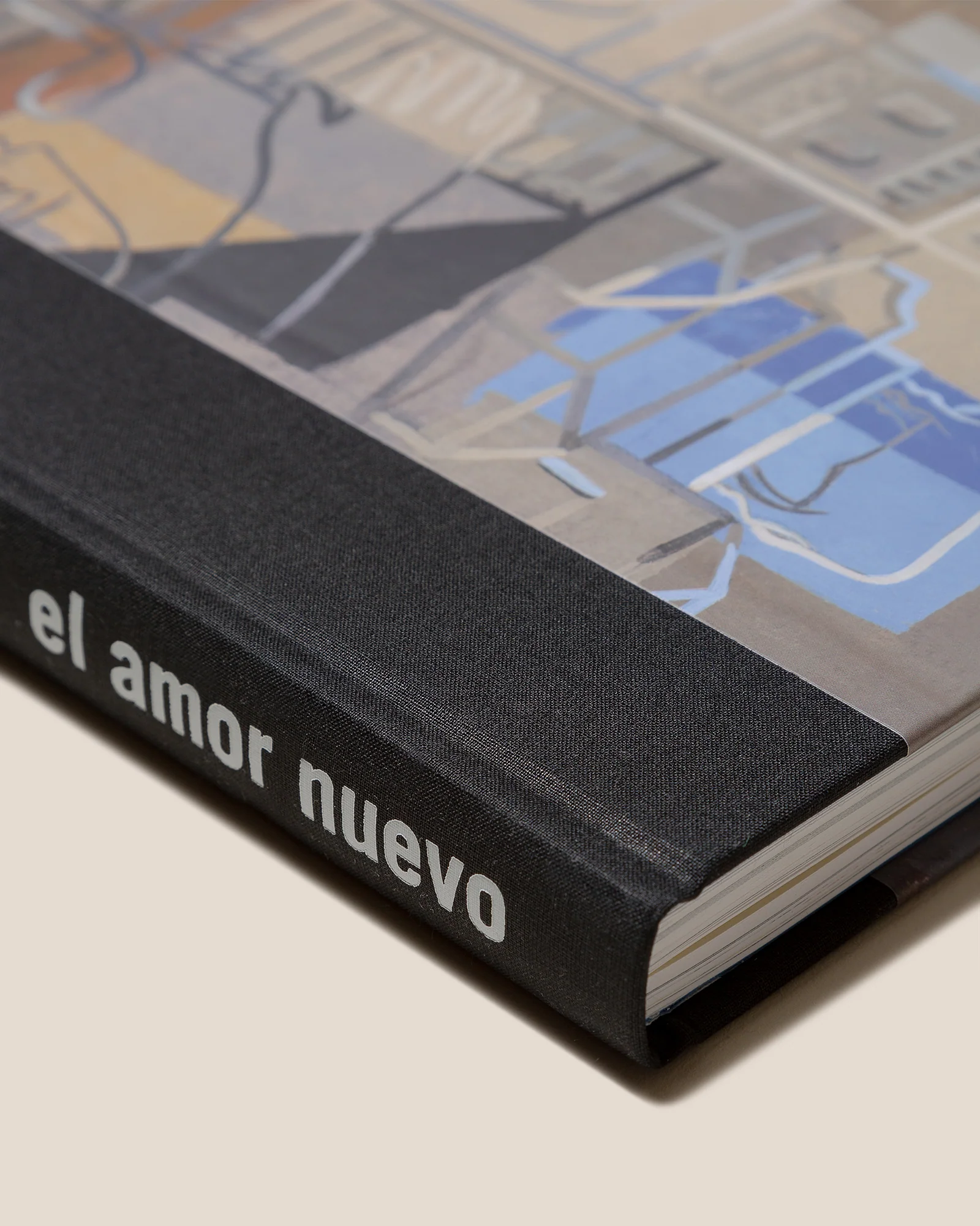 EL AMOR NUEVO - Book by Jorge Gay & Ignacio Martínez de Pisón - Image 3