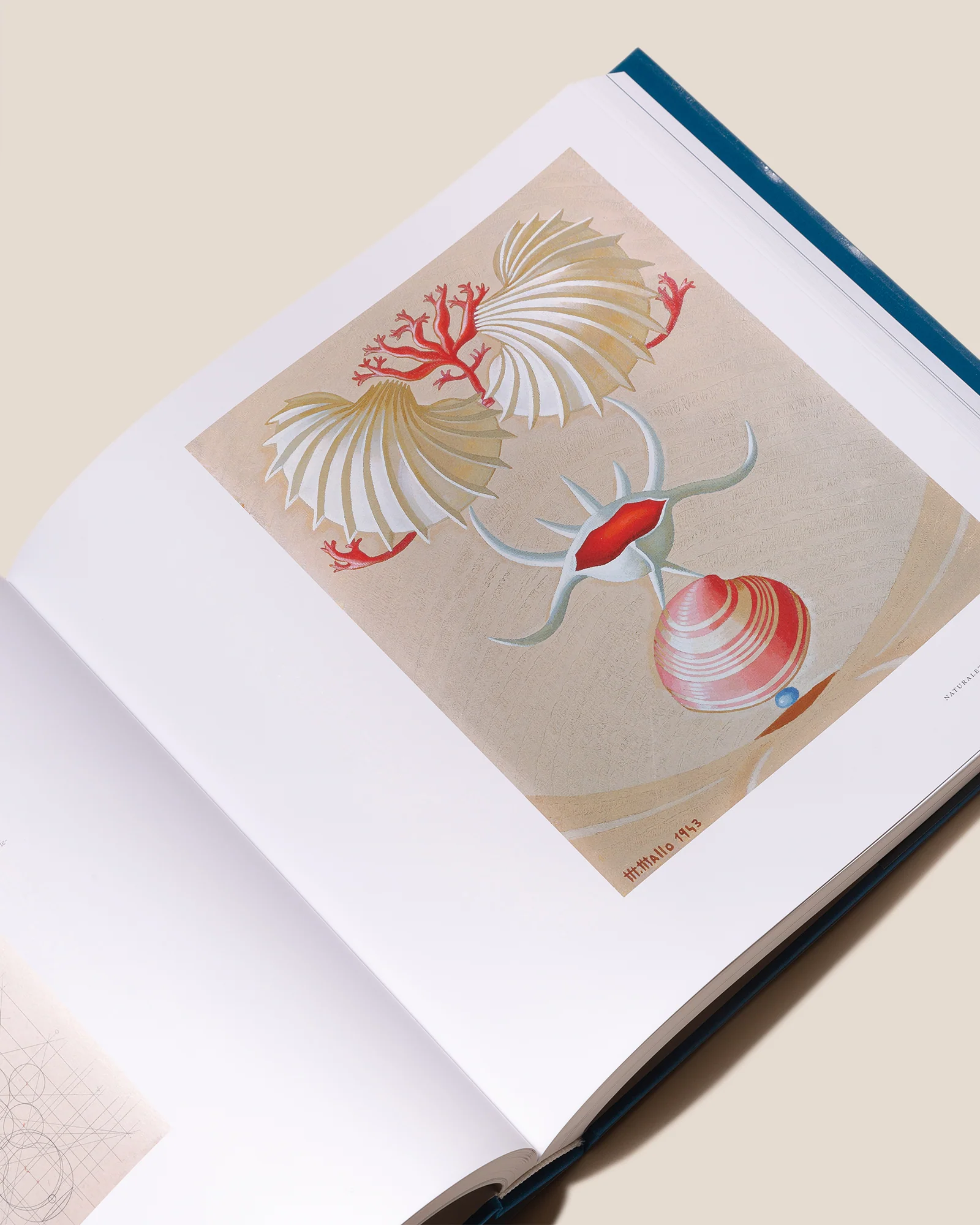 MARUJA MALLO - Oil Paintings Book - Image 2
