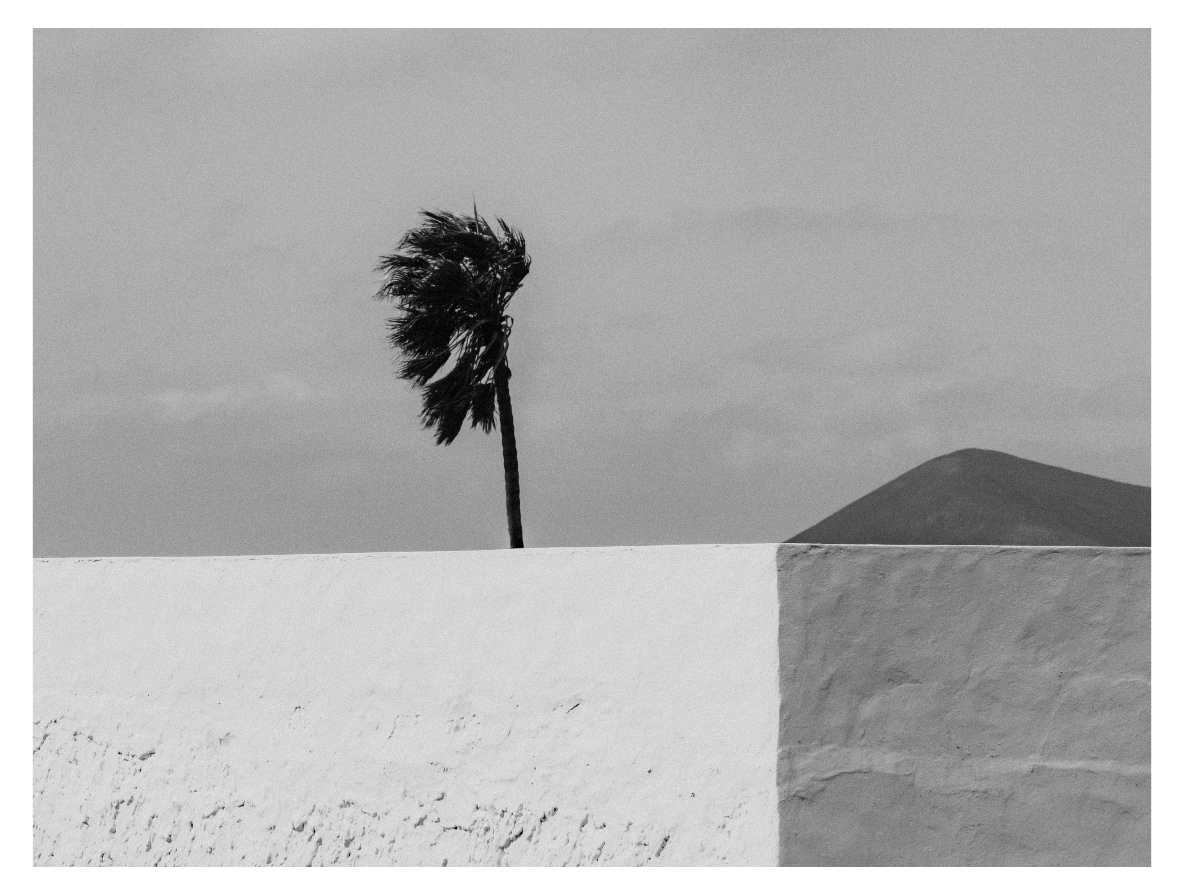 ILLA - Photo Book By Salva López - Image 6