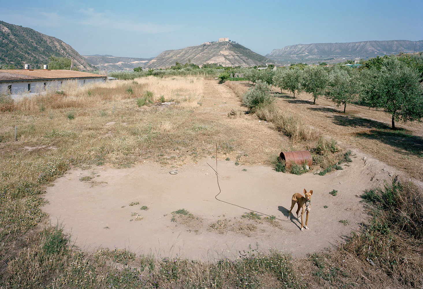THE WAITING GAME III - Txema Salvans Book - Image 3